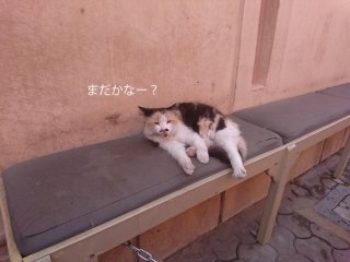税関で荷物が止まる
