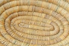 画像5: モロッコかご皿｜楕円・無地 Mサイズ　小物入れ　フルーツかご (5)