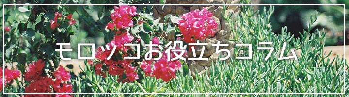 モロッコお役立ちコラムバナー