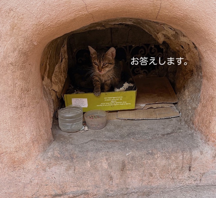 モロッコ写真